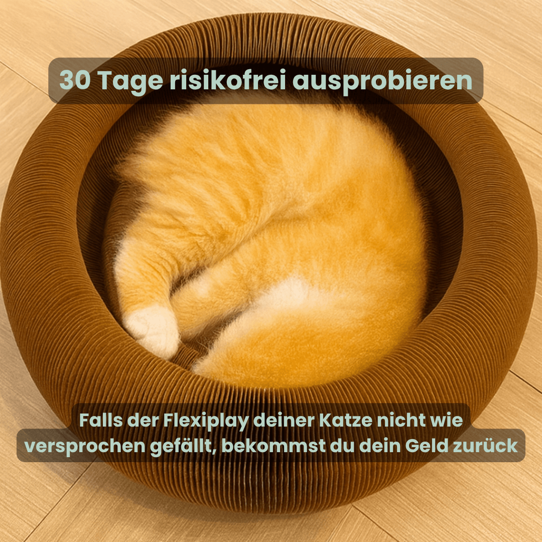 FlexiPlay™ – 2in1 Kratz- und Spielring
