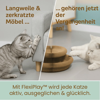 FlexiPlay™ – 2in1 Kratz- und Spielring