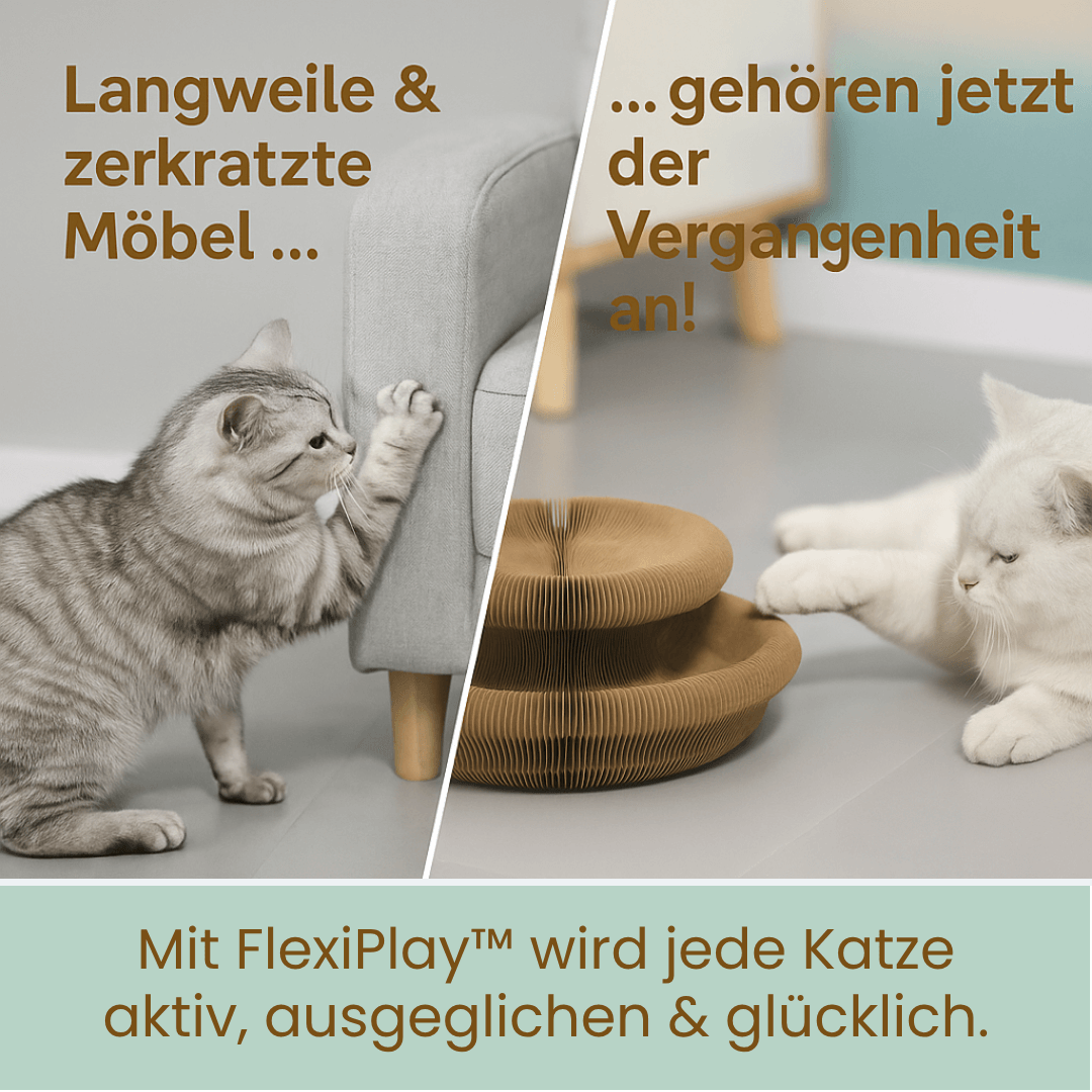 FlexiPlay™ – 2in1 Kratz- und Spielring