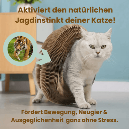 FlexiPlay™ – 2in1 Kratz- und Spielring