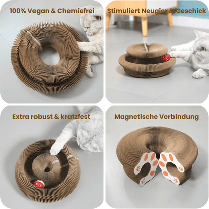 FlexiPlay™ – 2in1 Kratz- und Spielring