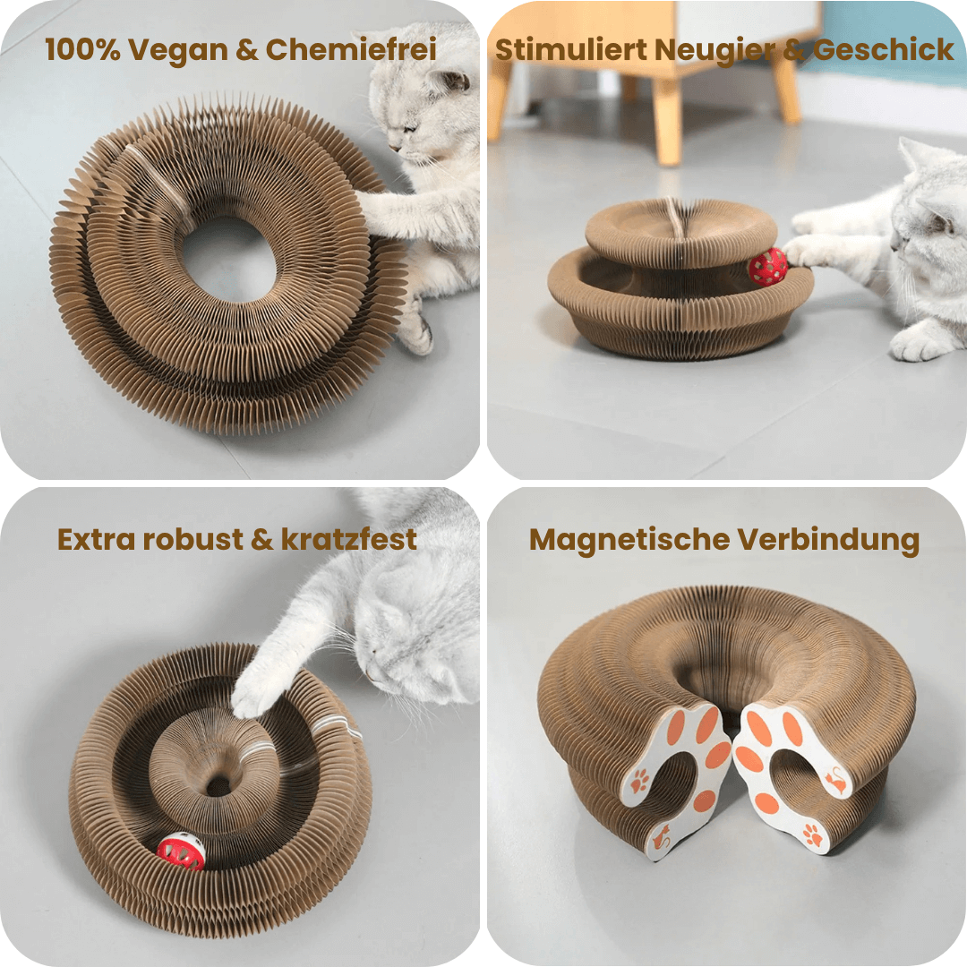 FlexiPlay™ – 2in1 Kratz- und Spielring