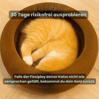FlexiPlay™ – 2in1 Kratz- und Spielring