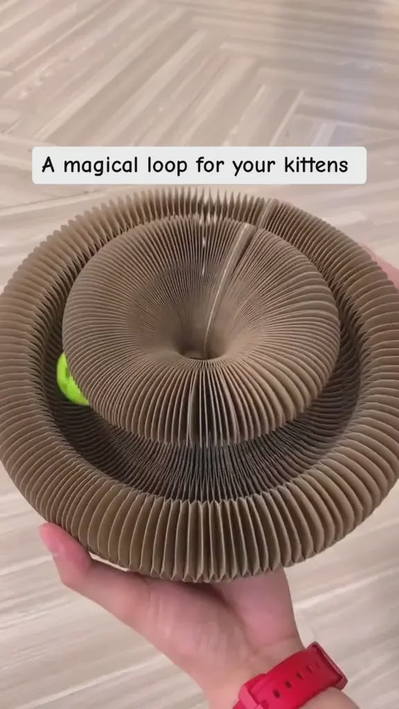 FlexiPlay™ – 2in1 Kratz- und Spielring video